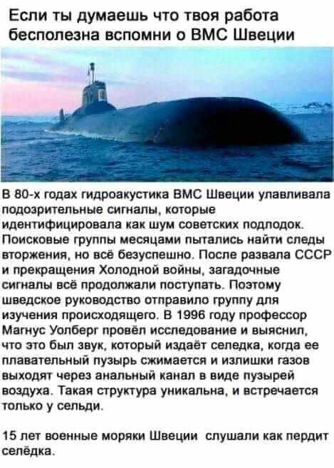 Если ты думаешь что твоя работа бесполезна вспомни о ВМС Швеции в 80х годах гидроакустика вмс Швеции упавливапа подозртельиые сигналы которые идентифицировали как шум советским подлодок Поисковые группы месяцами пытались найти пледы вторжения но все безуспешно Поспе развала СССР и прекращения Холодной войны загвдшиыв штаны все продолжали поступвчь паэтаму шведское руководств отправило группу для и