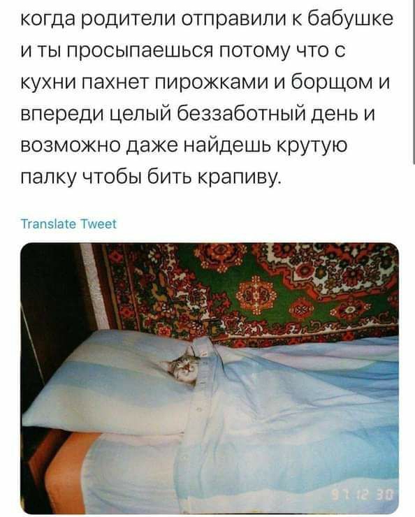 когда родители отправили к бабушке и ты просыпаешься потому что с кухни пахнет пирожками и борщом и впереди целый беззаботный день и возможно даже найдешь крутую папку чтобы бить крапиву