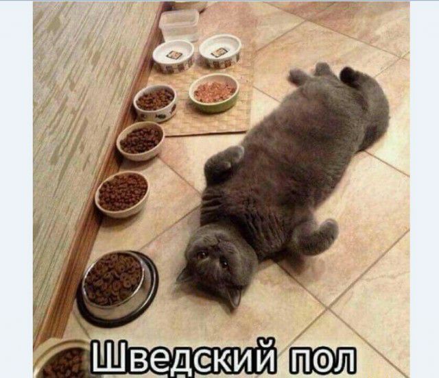 Шведский