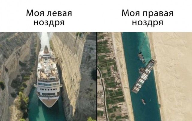 Моя левая Моя правая ноздря ноздря