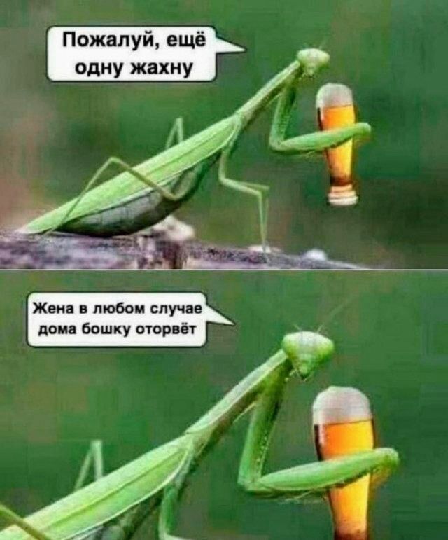 Пожалуй ещё одну жахну