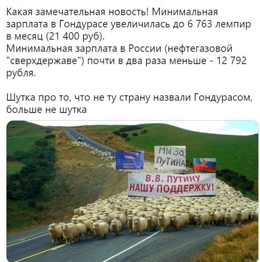 Какая замечательная новость Минимальная зарплата в Гондурасе увеличилась до 6 763 лемпир в месяц 21 400 руб Минимальная зарплата в России нефтегазовой сверхдержаве почти в два раза меньше 12 792 рубля Шутка про то что не ту страну назвали Гондурасом Больше не шутка