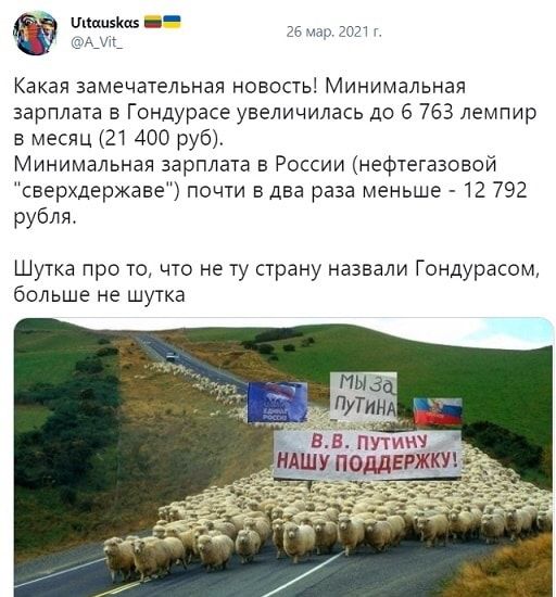 Нюшка __ Какая замечательная новость Минимальная зарплата в Гондурасе увеличилась до 6 763 лемпир в месяц 21 400 руб Минимальная зарплата в России нефтегазовой сверхдержаве почти В два раза меньше 12 792 рубля Шутка про то что не ту страну назвали Гондурасом больше не шутка