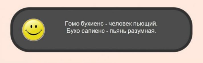 Гомо бухиенс _ человек пьющий Бухо сапиенс пьянь разумная