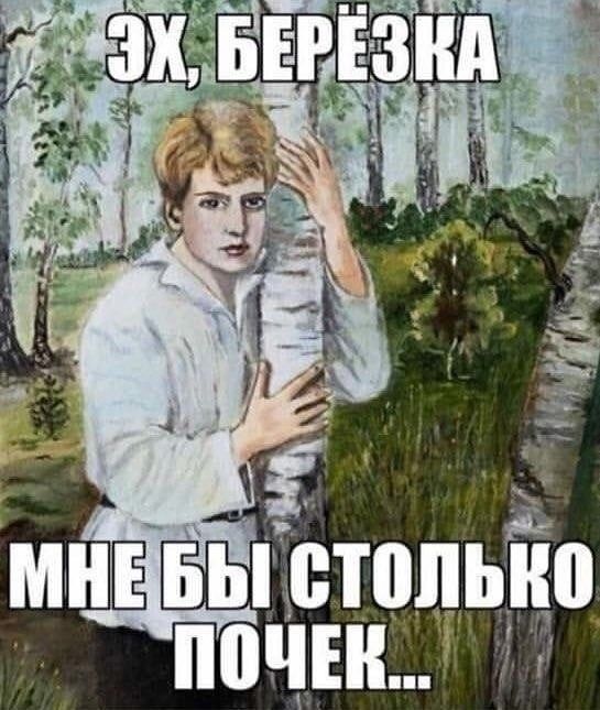 а мнебы! Етопыю почек..'