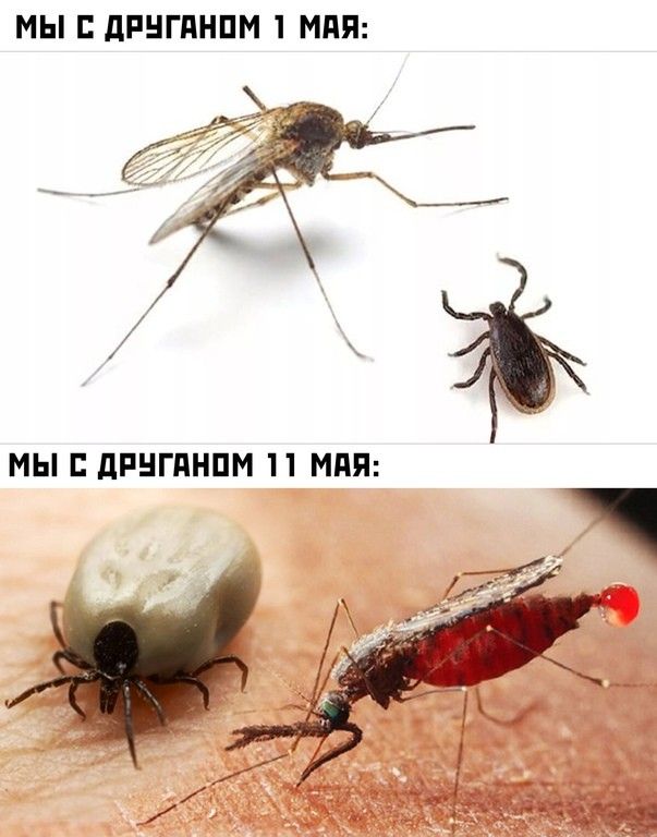 МЫ дРНГдНПМ МПП МЫ дРНГПНПМ П МПП