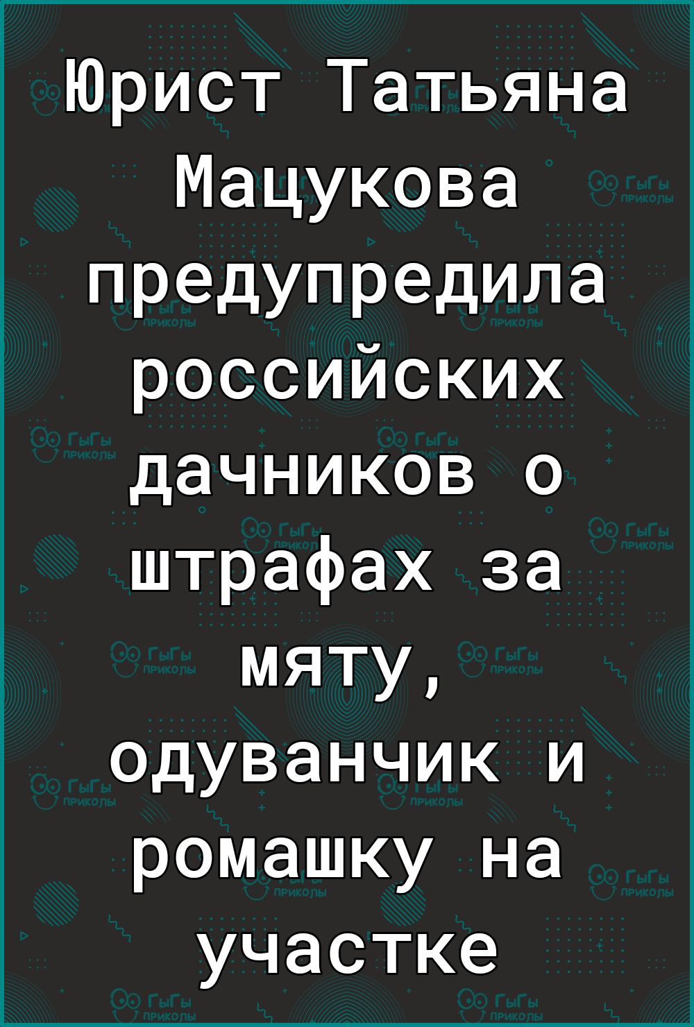 Юрист Татьяна Мацукова предупредила российских дачников о штрафах за мяту одуванчик и ромашку на участке