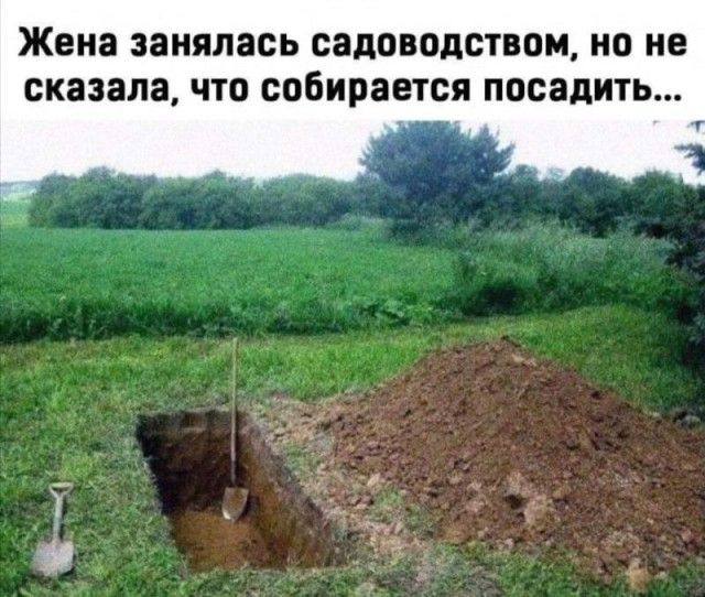 Жена занялась садоводством но не сказала ЧТО собирается посадить