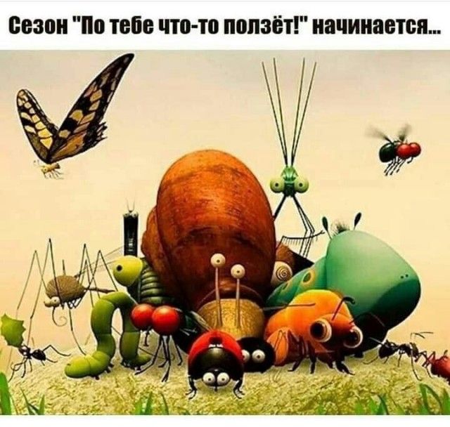 9830 но ТЕБЕ что тп ПППЗЁТ начинается