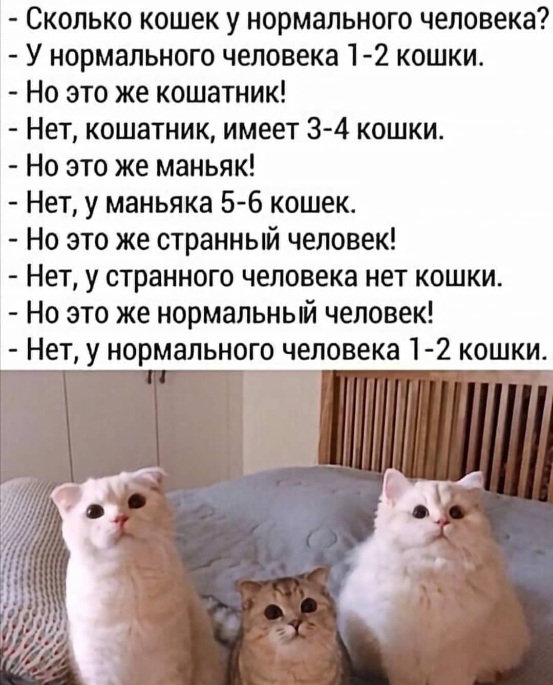 Сколько кошек у нормального человека У нормального человека 1 2 кошки Но это же кошатник Нет кошатник имеет 3 4 кошки Но это же маньяк Нет у маньяка 5 6 кошек Но это же странный человек Нет у странного человека нет кошки Но это же нормальный человек Нет у нормального человека 1 2 кошки