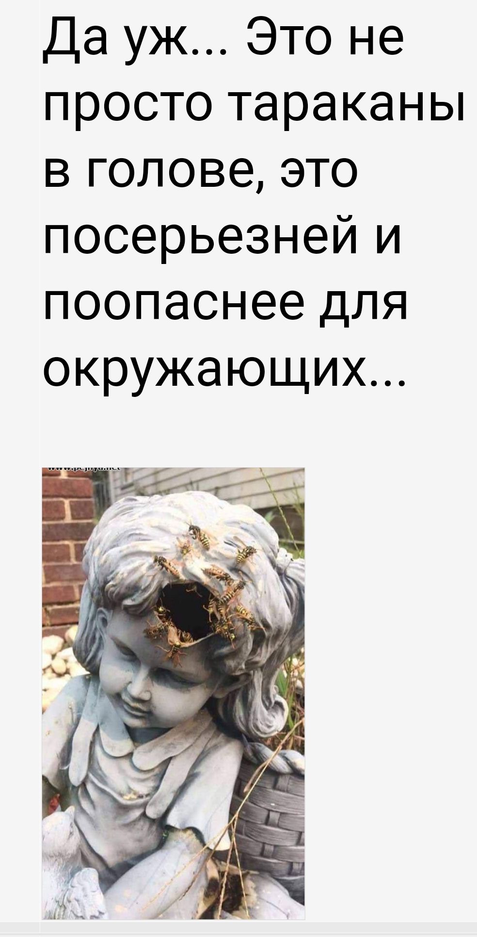 Да уж Это не просто тараканы в голове это посерьезней и поопаснее для окружающих