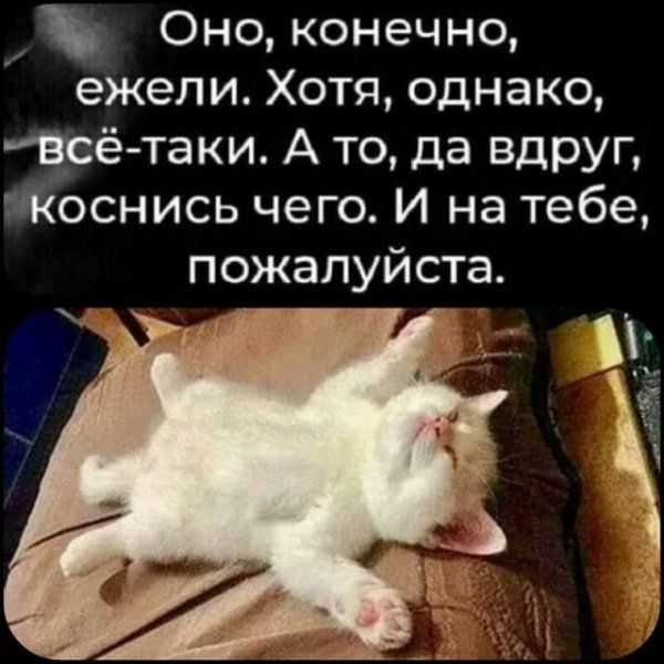 Оно конечно ежели Хотя однако эре таки А то да вдруг Жоснись чего И на тебе пожалуйста л