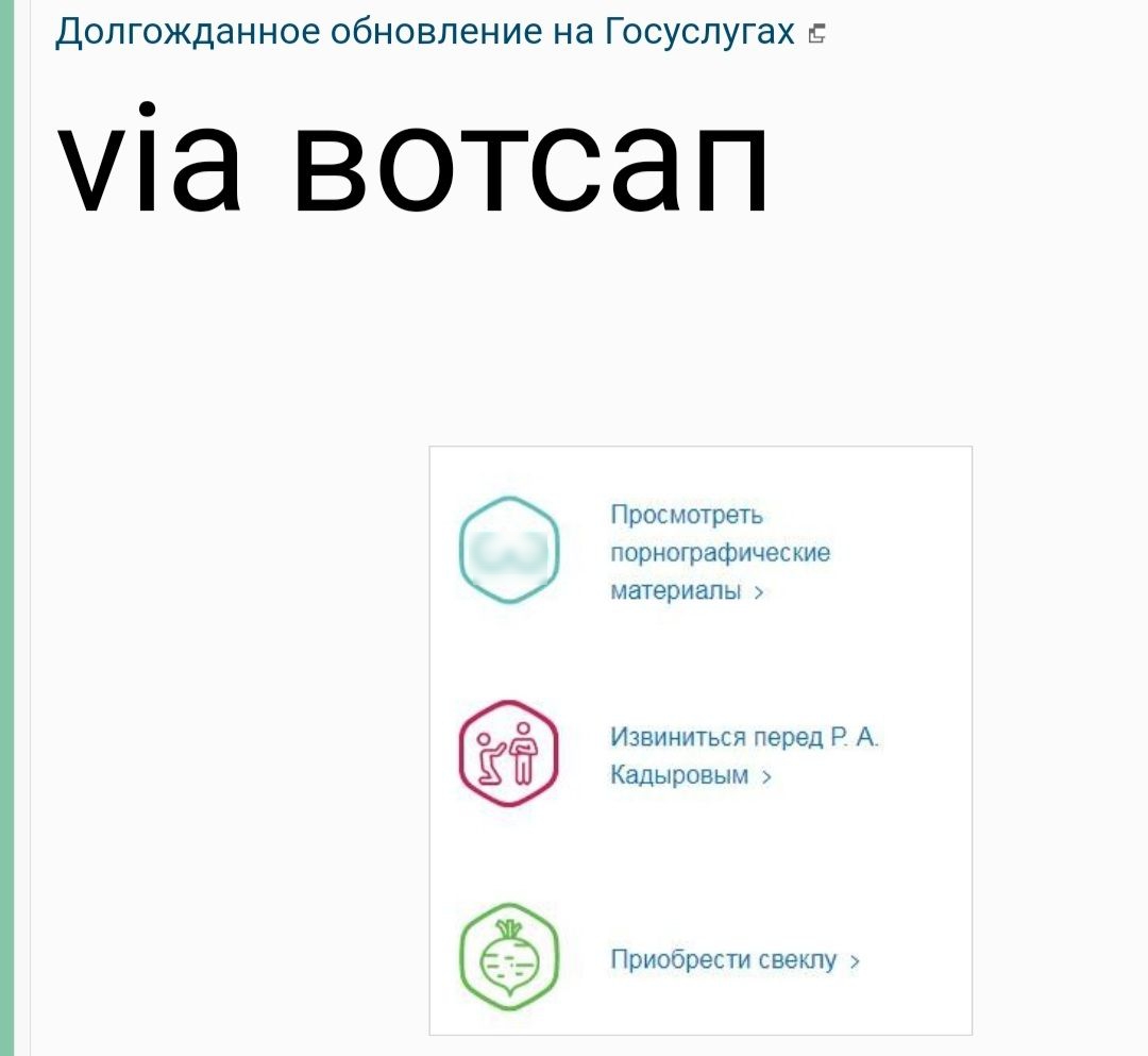 ДОЛГОЖДЭННОЕ обновление на Госуслугах 5 1 вотсап Просмотреть порнографические материалы Извиниться перед Р А Кадыровым Приобрести свекпу