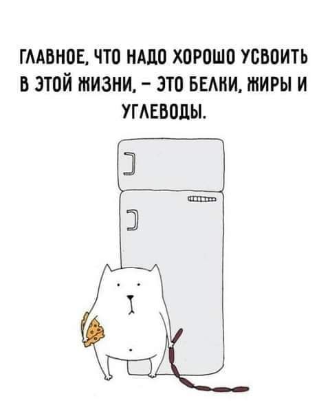 ГМБНОЕ ЧТО НАДО ХОРОШО УОВОИТЬ В ЭТОЙ ЖИЗНИ ЭТО БЕАНИ ЖИРЫ И УГАЕВОДЫ