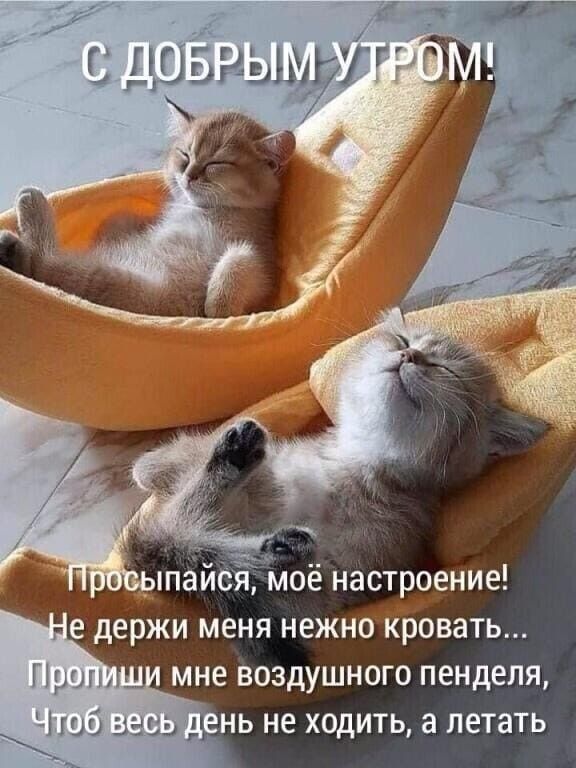 Й Ё с дозвщугт оё настроение едержи меня нежнокровать мне воздушного пенделя Чшб заза ень не ходить а летать