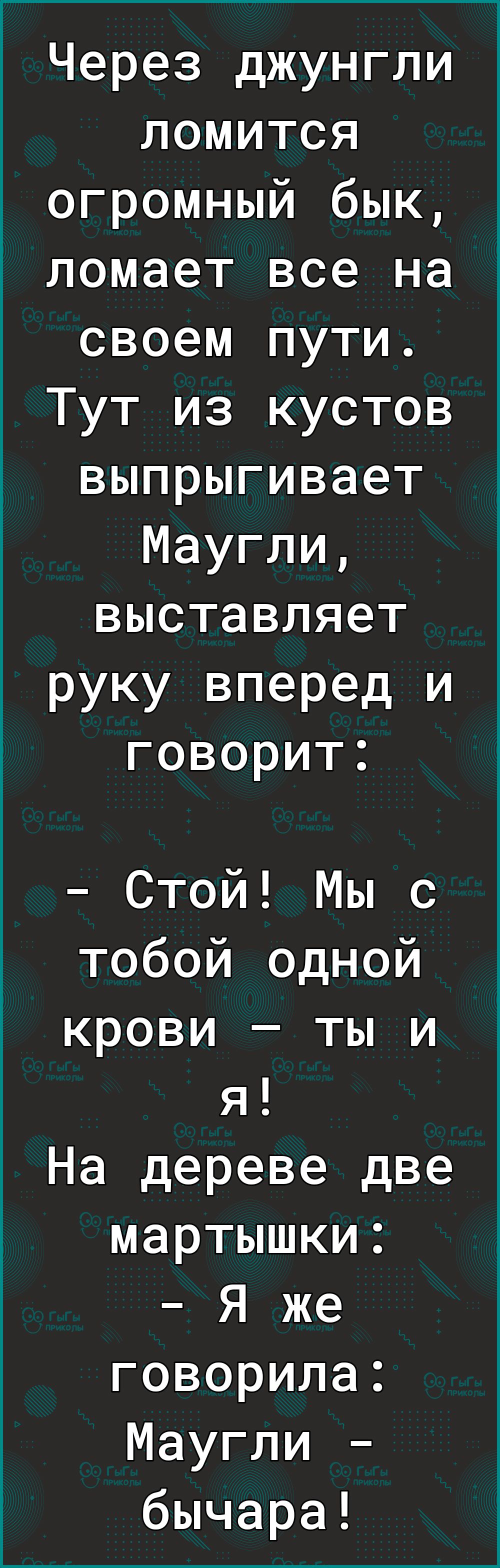 Через джунгли ломится огромный бык ломает все на своем пути Тут из кустов выпрыгивает Маугли выставляет руку вперед и говорит Стой Мы с тобой одной крови ты и я На дереве две мартышки Я же говорила Маугли бычара