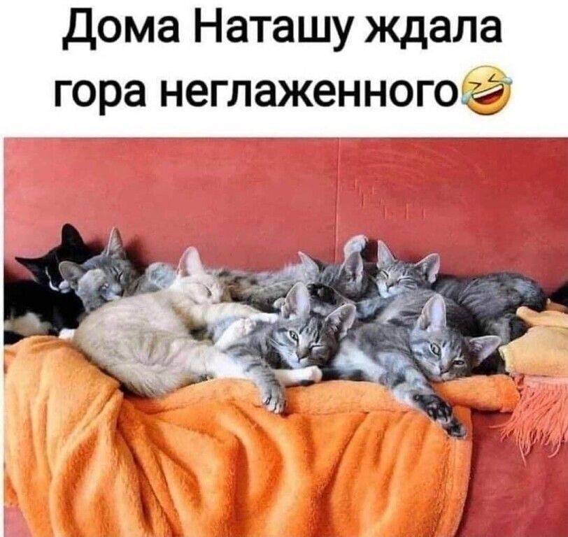 Дома наташу ждала гора неглаженногоса