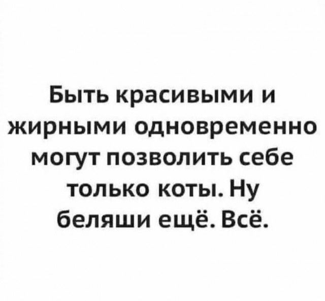 Быть красивыми и жирными одновременно могут позволить себе только коты Ну беляши ещё Всё