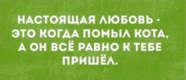 НАСТОЯЩАЯ АЮБОВЬ это КОГАА помьм КОТА А он ВСЁ мвно к ТЕБЕ ПРИШЁА