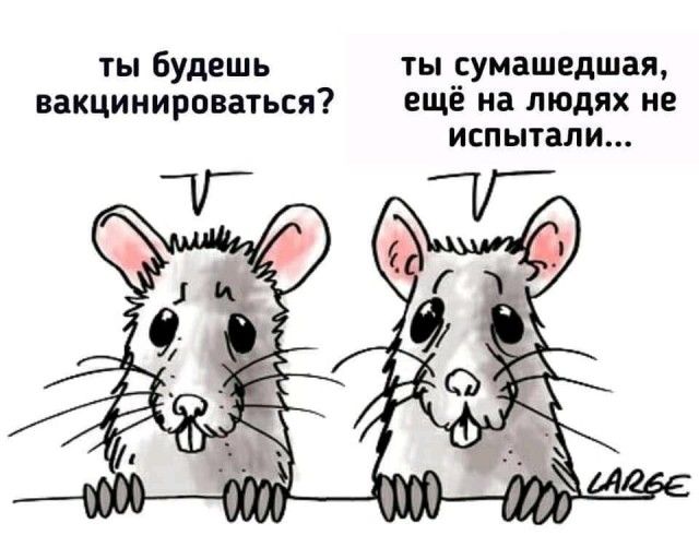 ТЫ будешь ТЫ СУМЗШЕДШВЯ вакцинироваться ещё на людях не испытали