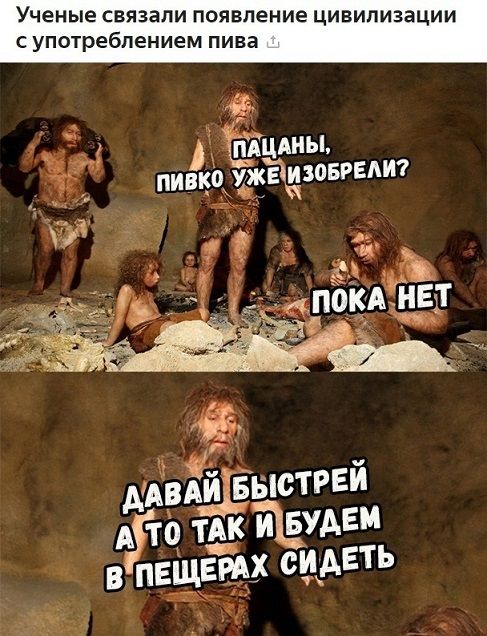 Ученые связали появление цивилизации с употреблением пива _ УЁКцдны пивко ажаёзоврпт іі д покя нвдт