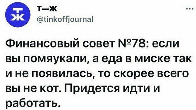 ТЖ гіпКоШоцтаі Финансовый совет 78 если вы помяукали а еда в миске так и не появилась то скорее всего вы не кот Придется идти и работать