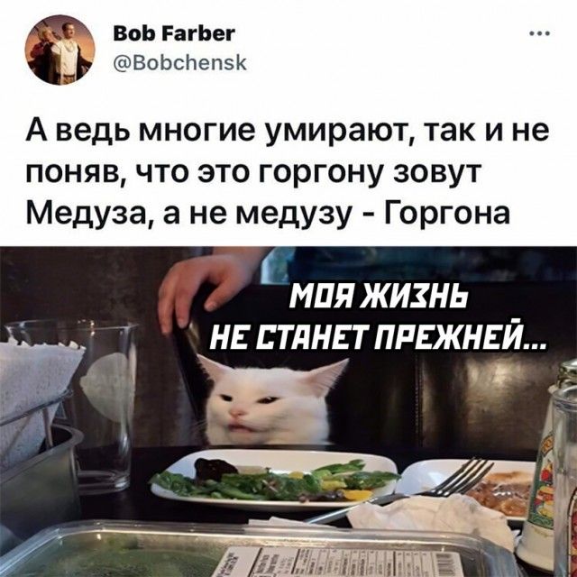 ВоЬ РагЬег ВоЬсНепзК А ведь многие умирают так и не поняв что это горгону зовут Медуза а не медузу Горгона МПЯЖИЗНЬ НЕ ЕТПНЕТ ПРЕЖНЕЙ