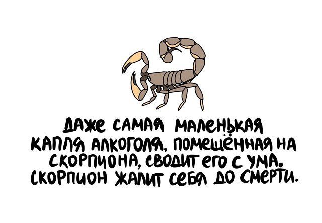 важе самай маленькая капля, алкогол, помещённая на скорпиона, еволит его с ума.. Скорпион жалит себл л0 смерти.
