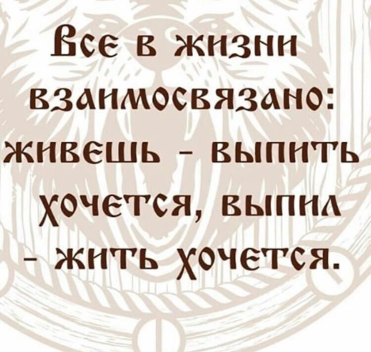 Все в жизни взаимосвязано живешь выпить хочется выпнд жить хочется