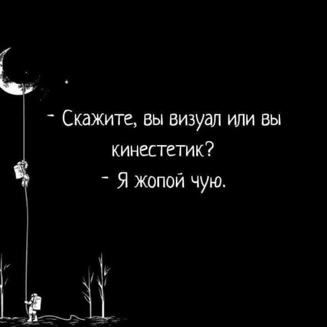 Скажите вы визуал или вы кинестетик Я жопой чую