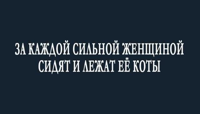 ЗА КАЖДОЙ СИАЬНОЙ ЖЕНЩИНОЙ сидят и АЕЖАТ ЕЕ коты