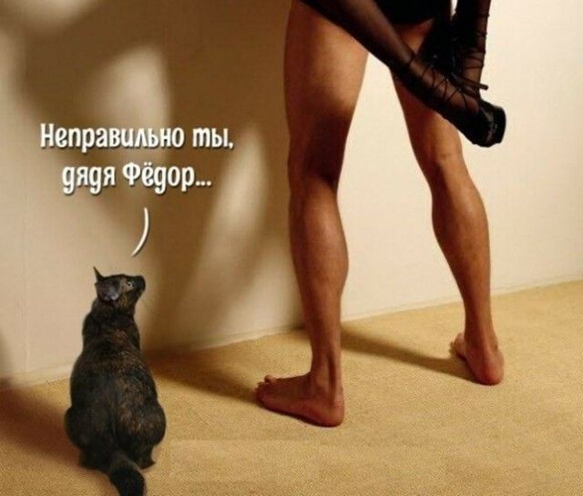 епра оты яяя ор