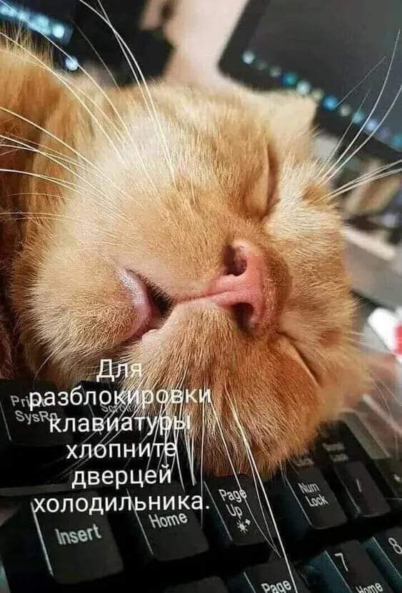 ОЛОДИ 5