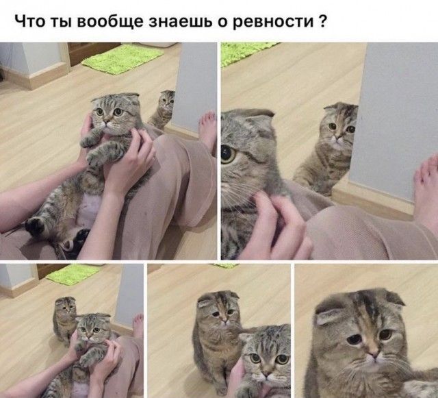 Что ты вообще знаешь о ревности