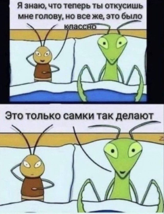я знаю ЧТО теперь ТЫ ОТКУСИШЬ мне ГОЛОВУ НО все же ЭТО было