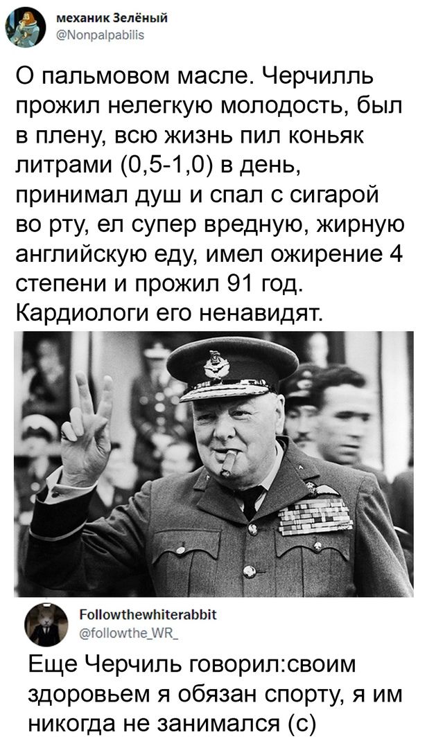 механик Зелёный Мопраіразп к 0 пальмовом масле Черчилль прожил нелегкую молодость был в плену всю жизнь пил коньяк литрами О5 10 в день принимал душ и спал с сигарой во рту ел супер вредную жирную английскую еду имел ожирение 4 степени и прожил 91 год Кардиологи его ненавидят Роііошіпешпііегаььп гоиое_ъ_ Еще Черчиль говорилсвоим здоровьем я обязан спорту я им никогда не занимался с