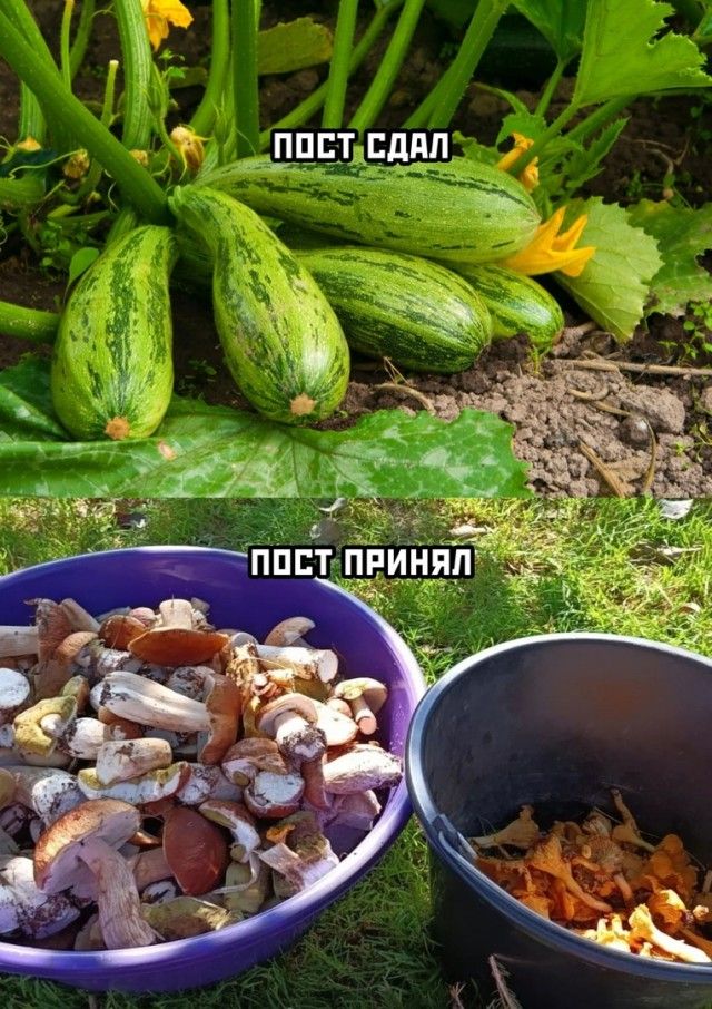 эжг _ппп дцддц