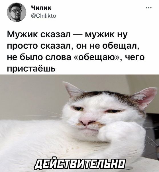 Чилик СНіііКсо Мужик сказал мужик ну просто сказал он не обещал не было слова обещаю чего пристаёшь