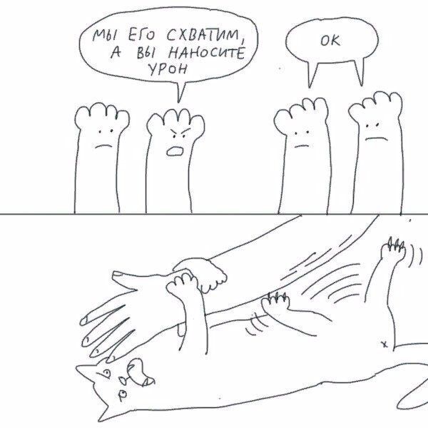 МЫ ЕГО СХЕАТММ А ВЫ НАНоситЕ УРоН