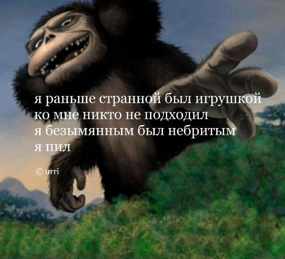 Я раныш анн е подходил был небритьп