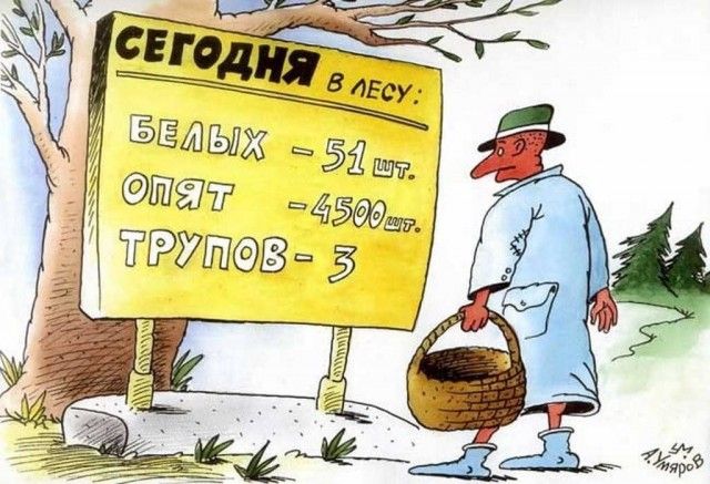 4500 27В