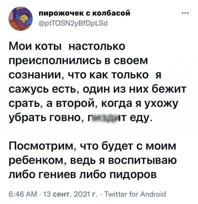 пирожочек колбасой ргТОЗМ2уВЮрЬЗЫ Мои коты настолько преисполнипись в своем сознании что как только я сажусь есть один из них бежит срать а второй когда я ухожу убрать говно пищит еду Посмотрим что будет с моим ребенком ведь я воспитываю либо гениев либо пидоров 646 АМ 13 сент 2021 г Ти1іпегтогАпсігоісі