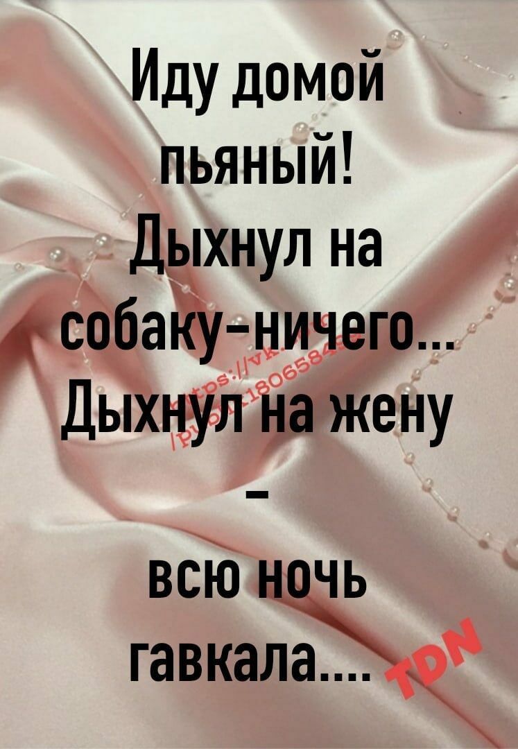 Иду домой пьяный хнул на сббёі нуна Ды всю чь гавкала