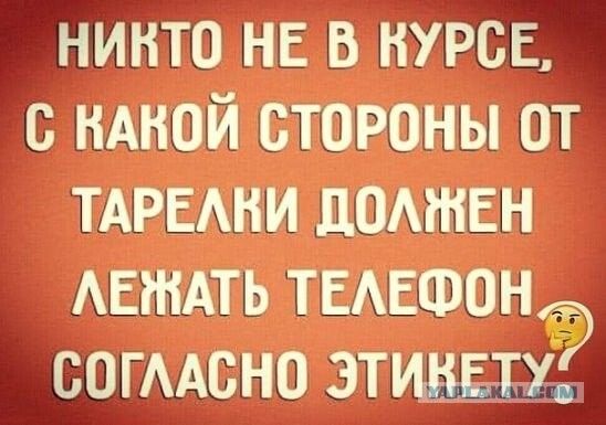 никто не в курск ндной стороны от ТАРЕАНИ домнвн манить ТЕАЕФОНЁЭ согАсно винды