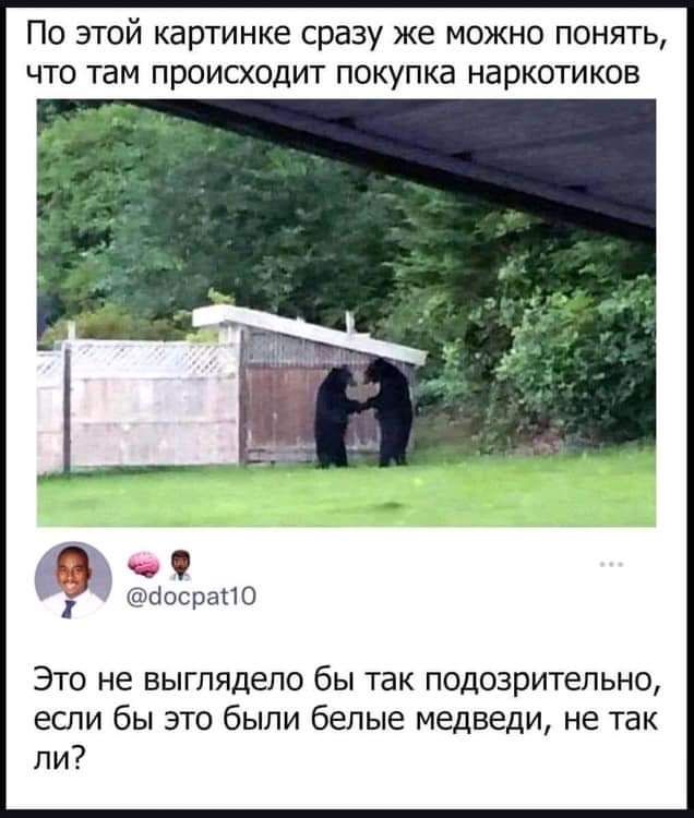 По этой картинке сразу же можно понять что там происходит покупка наркотиков оосрапо Это не выглядело бы так подозрительно если бы это были белые медведи не так ли