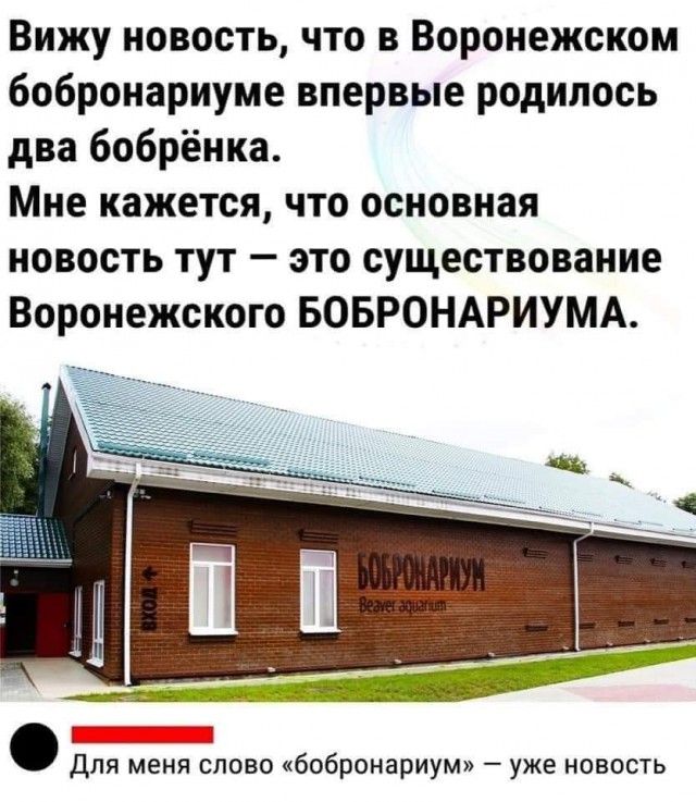 Вижу новость что в Воронежском бобронариуме впервые родилось два бобрёнка Мне кажется что основная новость тут это существование Воронежского БОБРОНАРИУМА 455 а _ Для меня слово бобронариум уже новость