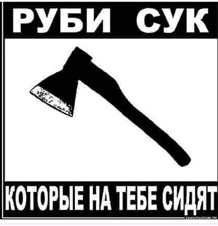 РУБИ СУК КОТОРЫЕ НА ТЕБЕ СИдяТ