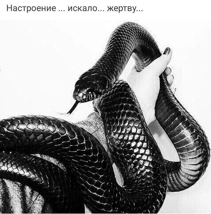 Настроение искало жертву