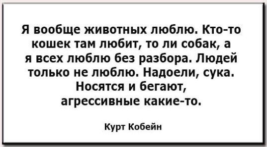 Я вообще животных люблю Кто то кошек там любит то ли собак а я всех люблю без разбора Людей только не люблю Надоели сука Носятся и бегают агрессивные какие то Кут Кобейн