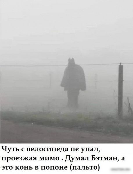 Чуть с велосипеда не упал проезжая мимо Думал Бэтман это конь в попоне пальто